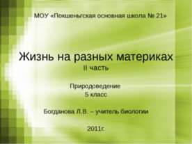 Жизнь на разных материках