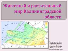Животный и растительный мир Калининградской области