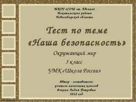 Тест по теме «Наша безопасность»