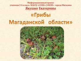 Грибы Магаданской области
