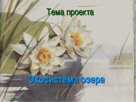 Экосистема озера