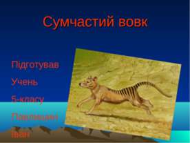 сумчастий вовк