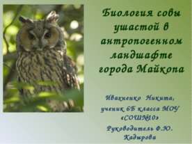 Биология совы ушастой в антропогенном ландшафте города Майкопа