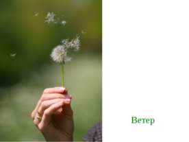 Ветер