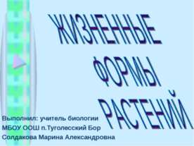 Жизненные формы растений