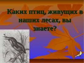 Каких птиц, живущих в наших лесах, вы знаете?