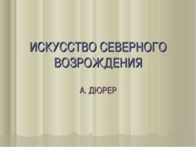Искусство северного возрождения. А. ДЮРЕР