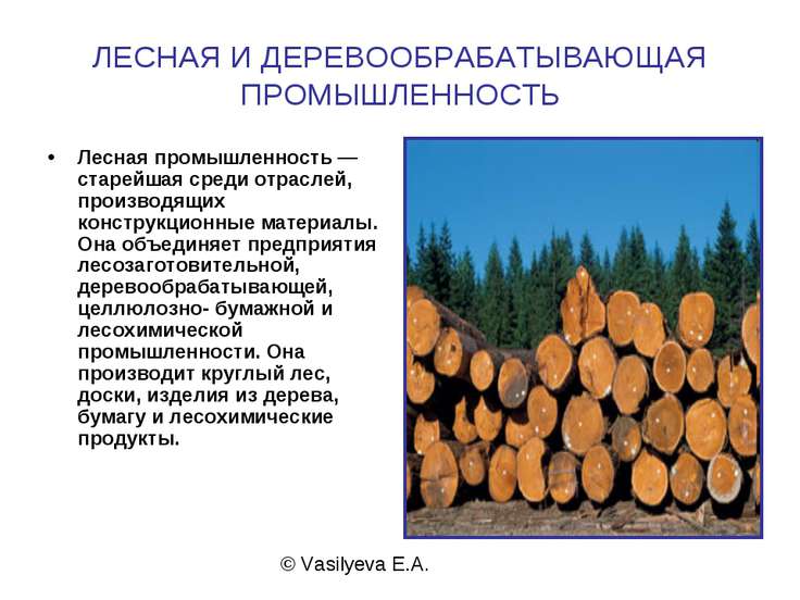 Презентация по Химии "Химическая, лесная и лёгкая