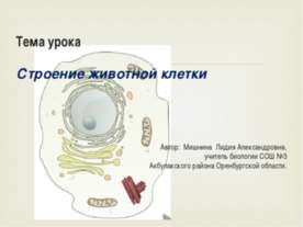 Строение животной клетки