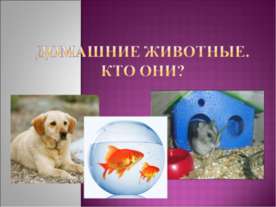 Домашние животные. Кто они?