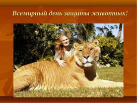 Всемирный день защиты животных