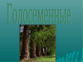 Голосеменные