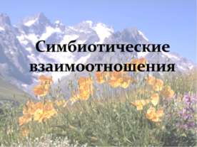 Симбиотические отношения