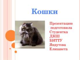 День кошек в России