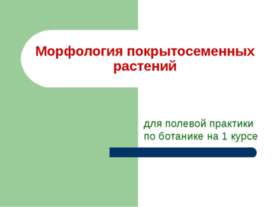 Морфология покрытосеменных растений