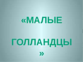 МАЛЫЕ ГОЛЛАНДЦЫ