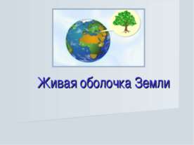 Живая оболочка Земли