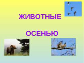 Животные осенью