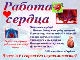 Работа сердца