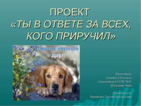 Ты в ответе за всех, кого приручил
