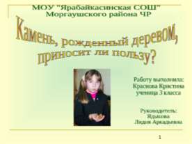 Камень, рожденный деревом, приносит ли пользу?