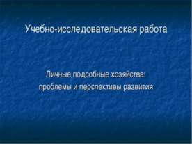 Личные подсобные хозяйства: проблемы и перспективы развития