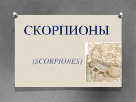 Скорпионы