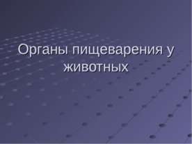 Органы пищеварения у животных