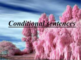 Conditional sentences