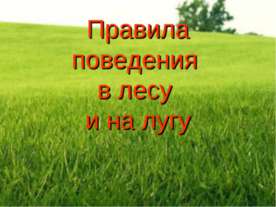 Правила поведения в лесу и на лугу