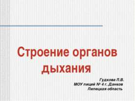 Строение органов дыхания