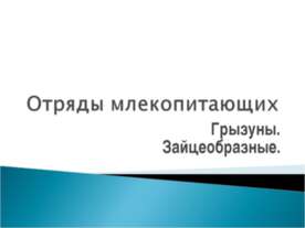 Отряды млекопитающих Грызуны. Зайцеобразные