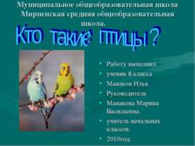 Кто такие птицы?
