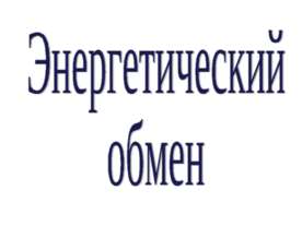 Энергетический обмен