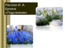 Рассказ И.А. Бунина «Подснежник»