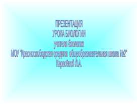 Органы и системы органов животных 6 класс
