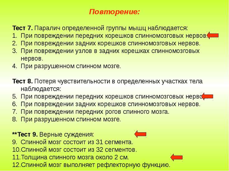 Тест на тему спинной мозг 8 класс