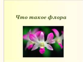 Что такое флора