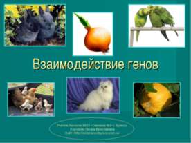 Взаимодействие генов