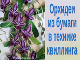 Орхидеи из бумаги в технике квиллинга