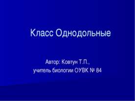 Класс Однодольные