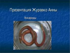 Аскариды