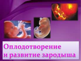 Оплодотворение и развитие зародыша