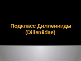 Подкласс Дилленииды (Dilleniidae)