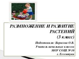 РАЗМНОЖЕНИЕ И РАЗВИТИЕ РАСТЕНИЙ