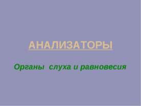 АНАЛИЗАТОРЫ Органы слуха и равновесия