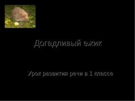 Догадливый ежик