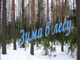 Зима в лесу
