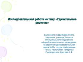 Удивительные растения (3 класс)