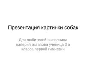 картинки про собак